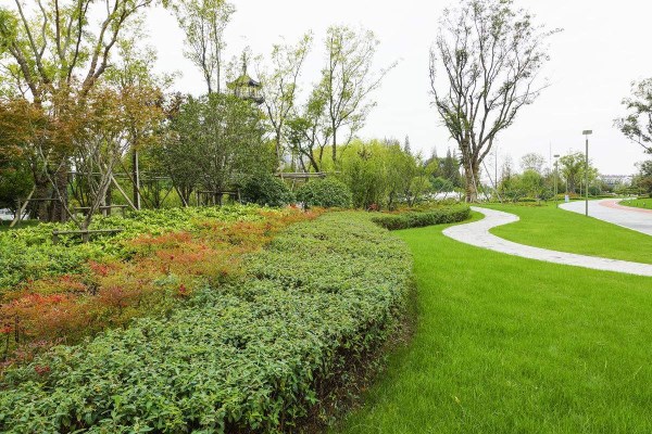 道路綠化帶施工與養護管理工程方案——以深圳華富街道為例