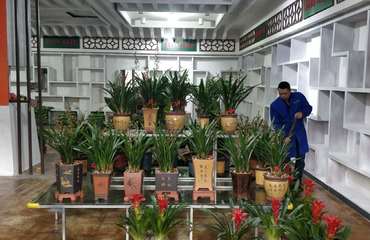 富優美專業園林綠化 花卉綠植租賃、批發零售與南昌盆栽養護管理工程