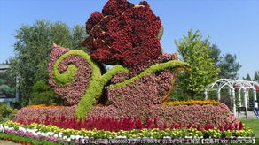 園林綠化施工與景觀設計資源全覽