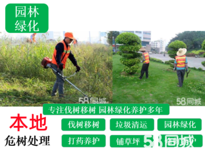 阜寧庭院與別墅花園綠化設計施工 打造生態與美觀并重的園林景觀